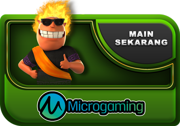 Micro Gaming